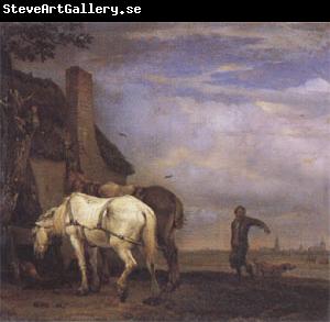 POTTER, Paulus Two Drafthorses in Front of a Cottage (mk05)